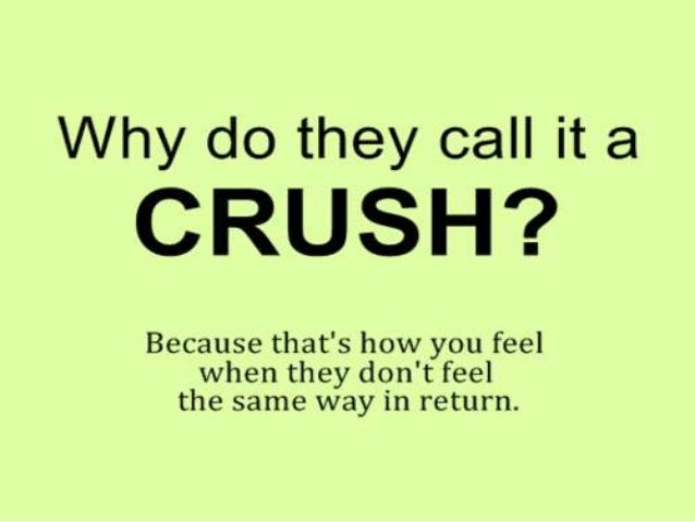Meaning Courtship Of Is What The Meaning Courtship Of Is What The